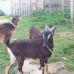 Granja Mg Δωμάτια σε οικογενειακή κατοικία Bombarral