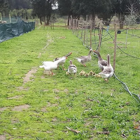 Granja Mg Δωμάτια σε οικογενειακή κατοικία *