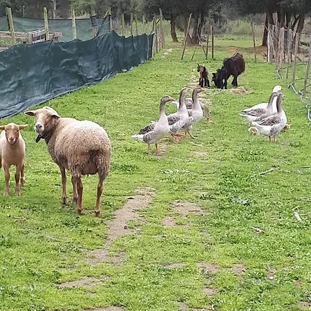 Δωμάτια σε οικογενειακή κατοικία Granja Mg *
