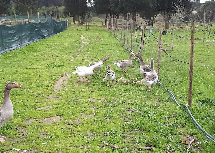 Granja Mg Kwatera prywatna *