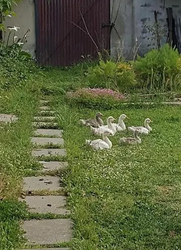 Kwatera prywatna Granja Mg Bombarral